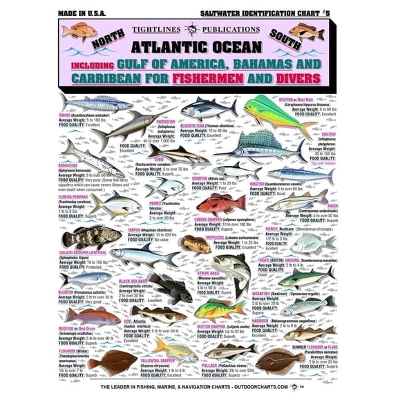 Saltwater Fish Identification Guide - Waterproof Quick Reference Fishing Chart, Saltwater Fish Species ID, Essential Fishing Gear