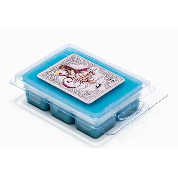 OCEAN BREEZES Mixer Melt or Wax Tart by Courtneys Candles