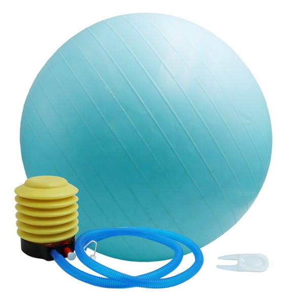 Exercise Ball Yoga Ball, 21.6" Exercise Ball for Stability, Exercise and Workout Ball, Quick Pump Included.