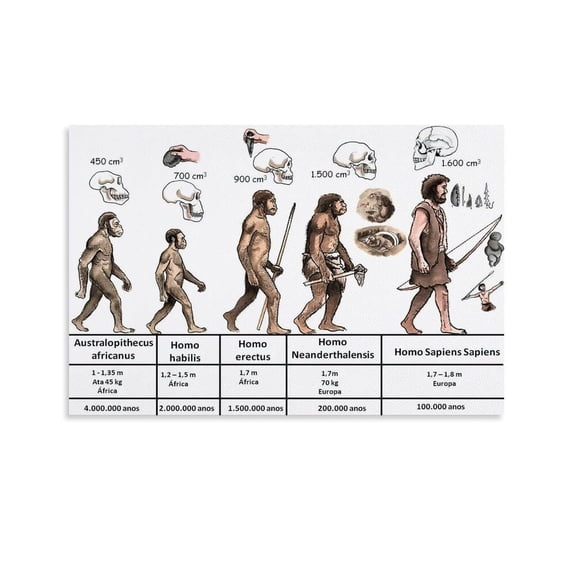 Human Evolution Education Classroom Knowledge Posters And Prints Wall Art for Living Room Bedroom Decor