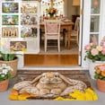 thumbnail image 2 of PEIBang Easter Bunny Doormat 24x16 Inch,Colorful Polyester Welcome Mat for Outdoor Indoor Door Decor,Washable Non-Slip Floor Mat, 2 of 7