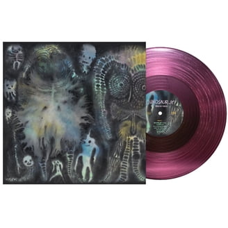 Interscope Records, Limp Bizkit Chocolate Starfish Vinyl, 2 LP