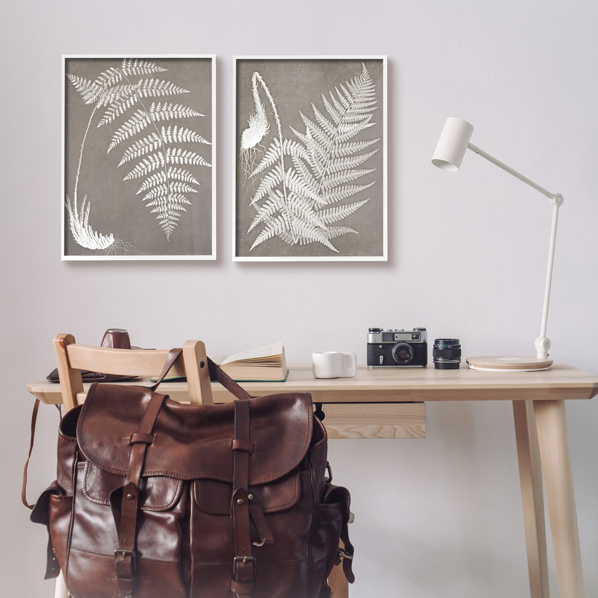 Stupell Industries Detailed Fern Plant White Botanical Herb Roots Graphic Art White Framed Art Print Wall Art, Set of 2, Design by Graffitee Studios