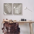 thumbnail image 5 of Stupell Industries Detailed Fern Plant White Botanical Herb Roots Graphic Art White Framed Art Print Wall Art, Set of 2, Design by Graffitee Studios, 5 of 5