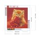 thumbnail image 2 of Pintura de diamante 5D DIY, taladro redondo completo, Kit de corazón y gato, decoración del hogar, 30x30cm, 2 of 9
