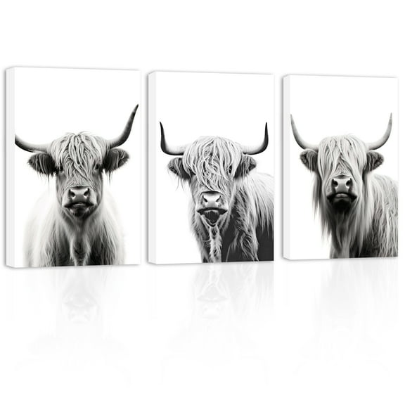 ZHONGYUTONG Highland Cow Canvas Art Prints 3 Pieces Black White Animal Wall Pictures (11"x14"x3PCS)