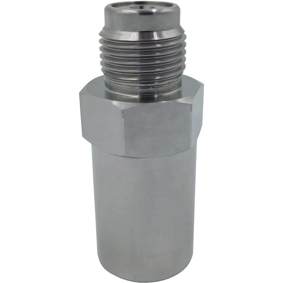 Fuel Rail Pressure Relief Valve