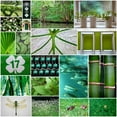 thumbnail image 2 of Peck, Gail 12x12 White Modern Wood Framed Museum Art Print Titled - Forest Green Collage, 2 of 4
