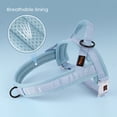 thumbnail image 3 of Didog No Pull Dog Pet Harness No Choke Strong Adjustable Mesh Padded Walking Strap Vest with Handle, 3 of 6