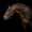 Bridled Dark Brown Horse, variant on Elephant Stock Monochrome Horned Goat Wall Art - Horizontal Canvas Wall Art - Living Room Wall Decor - Animal Canvas - Black And Gray Decor - 48" x 32"