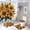 Yellow Florals 1, variant on Bathroom Rugs Sets 4 Piece with Shower Curtain, Yellow Floral Pattern Printed on Bathroom Shower Curtain Sets with Rugs, Great for Master Bath Beach House Modern Home, 72 x 72 inches