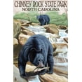 thumbnail image 1 of Chimney Rock State Park, NC, Bear Fishing in Stream (12x18 Wall Art Poster, Room Decor), 1 of 3