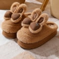 thumbnail image 3 of Zapatos de algodón para mujer, zapatillas peludas de nuevo estilo 2024, lindas zapatillas de invierno para mujer, además de terciopelo, versátiles y cálidas para parejas, 3 of 5