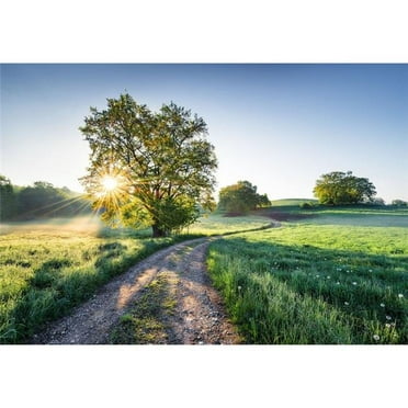 12 ft.-1 in. x 8 ft.-3 in. Meadow Trail Wall Mural