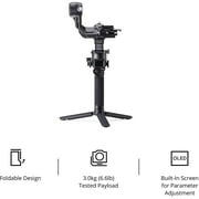 DJI RSC 2 Gimbal 3-Axis Stabilizer for DSLR and Mirrorless Cameras CP.RN.00000121.01