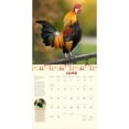thumbnail image 3 of How to Speak Chicken Wall Calendar 2025 : A Year of Chickens Doing What They Do and Saying What They Say (Calendar), 3 of 4