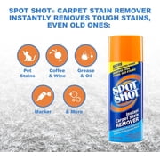 1Pc Spot Shot Professional Instant Carpet Stain Remover 00993CTG7