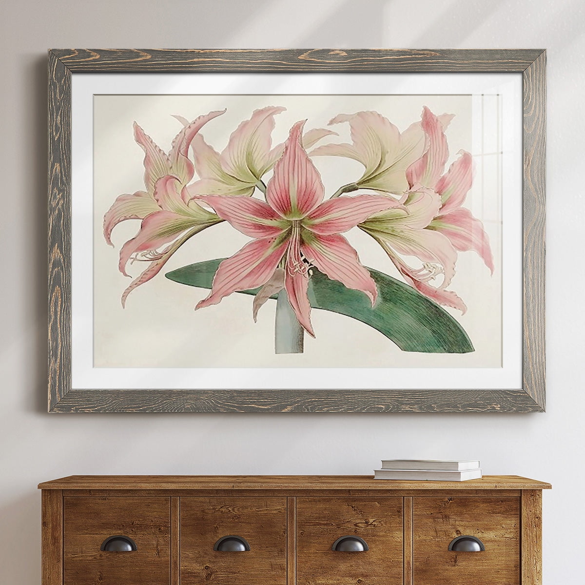 Amaryllis Varietals I-Premium Framed Print - Ready to Hang