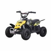SKRT MONSTER INSECT 24V 100W ALL TERRIAN MINI ELECTRIC QUAD BIKE ATV FOR KIDS (6~12 YEARS OLD)Yellow
