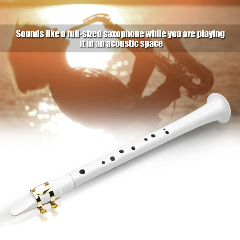 Portable Mini Sax Pocket Saxophone C Key Woodwind Instrument with Carry Bag  Y2L7