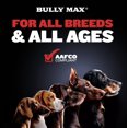 thumbnail image 4 of Muscle Builder Power Tabs Bully Max para cachorros y perros adultos, 4 of 7