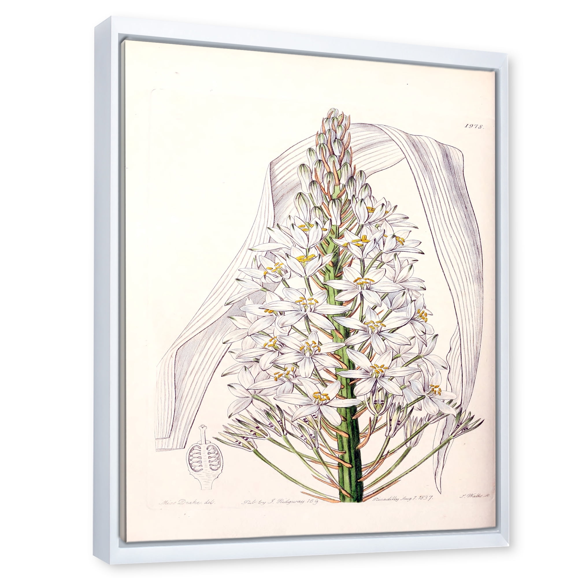 Designart 'White Vintage Orchid I' Traditional Framed Canvas Wall Art Print