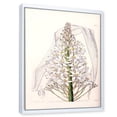 thumbnail image 3 of Designart 'White Vintage Orchid I' Traditional Framed Canvas Wall Art Print, 3 of 5