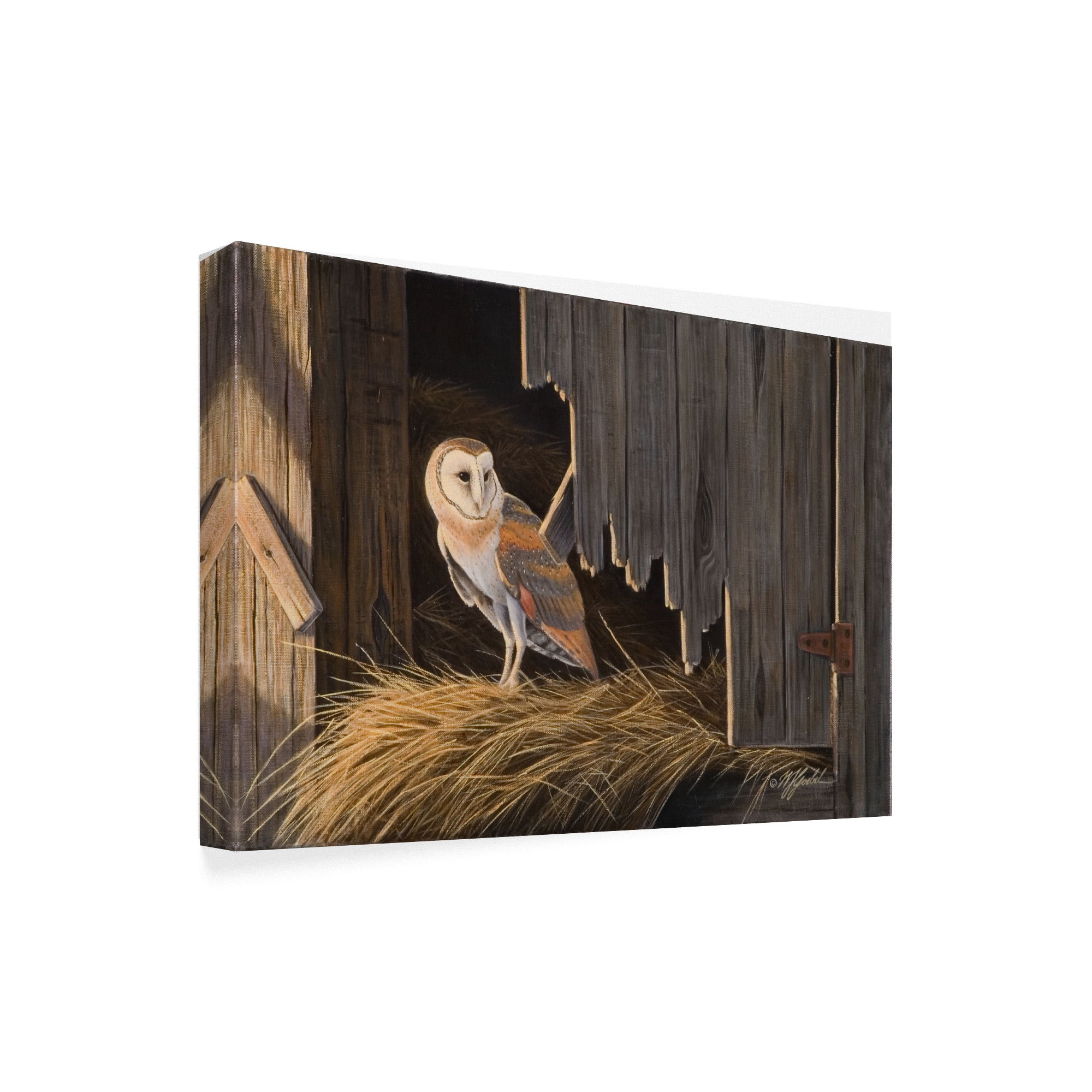 Trademark Fine Art 'Ready For The Hunt Barn Owl' Canvas Art by Wilhelm Goebel