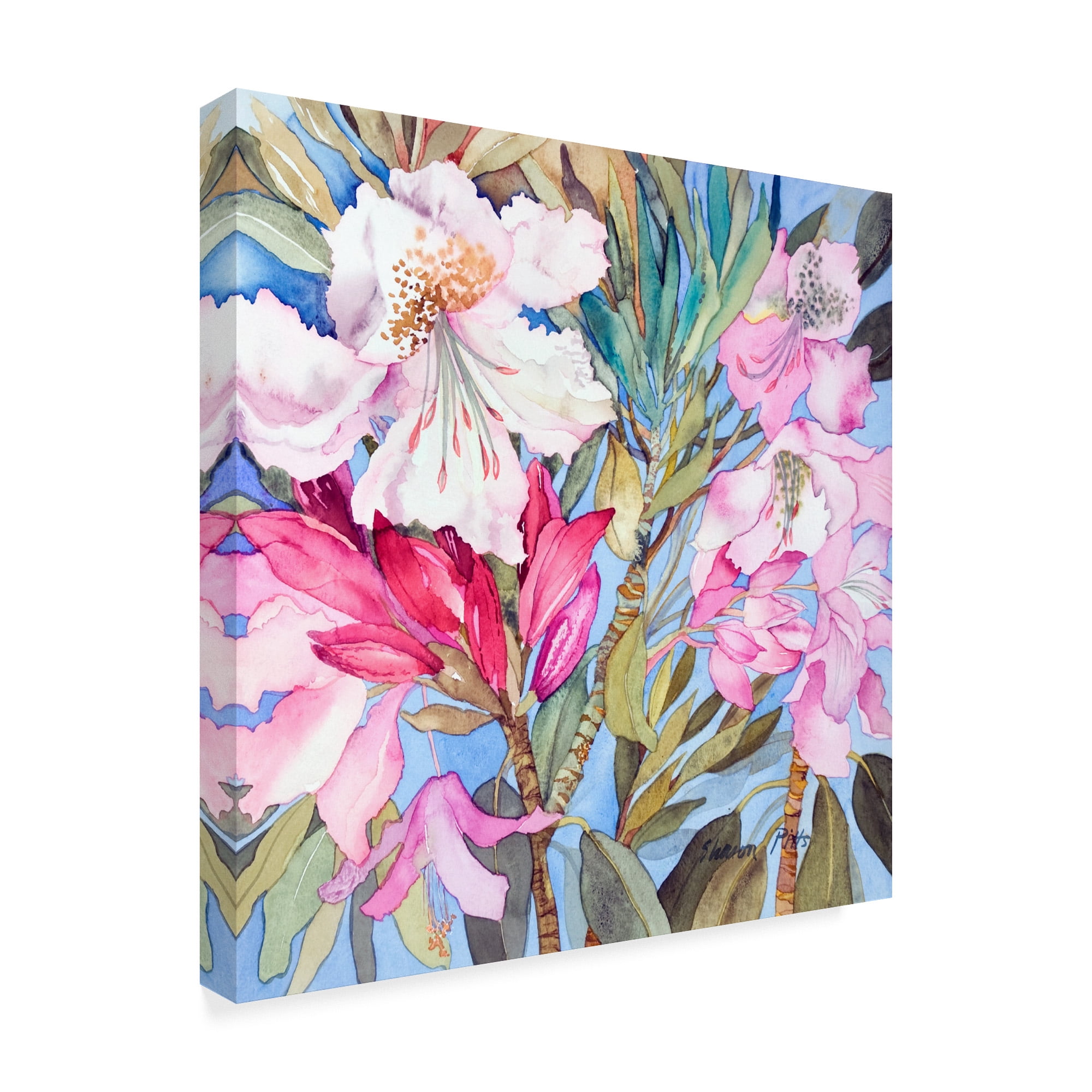 Trademark Fine Art 'Rhododendron Flowers' Canvas Art by Sharon Pitts