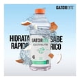 thumbnail image 4 of Bebida hidratante Gatorlyte sabor coco 591 ml, 4 of 4