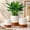 Khaki, variant on Ceramic Plant Pots, 3 Piece Indoor Planters Set with Drainage, 4.25+5.25+6.25 Inch Flower Pots for Succulents, Snake Plant, Pothos, Money Tree, Blue