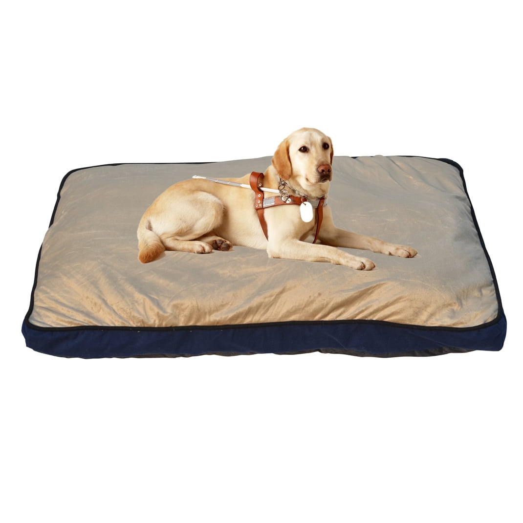 Strong Camel Waterproof Pet Cat Bed, Blue