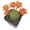 Bloom Color #5, variant on Live Rebutia Cactus Plants Collection for Home Decor 2" Pot (Bloom Color #2)