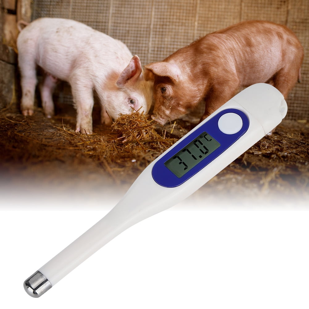 Domqga Animal Thermometer,Veterinary Electronic Thermometer LCD Digital Animal Thermometer for