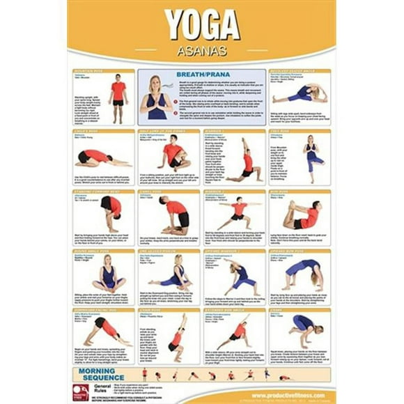 Productive Fitness CYL Yoga Asanas - Laminated