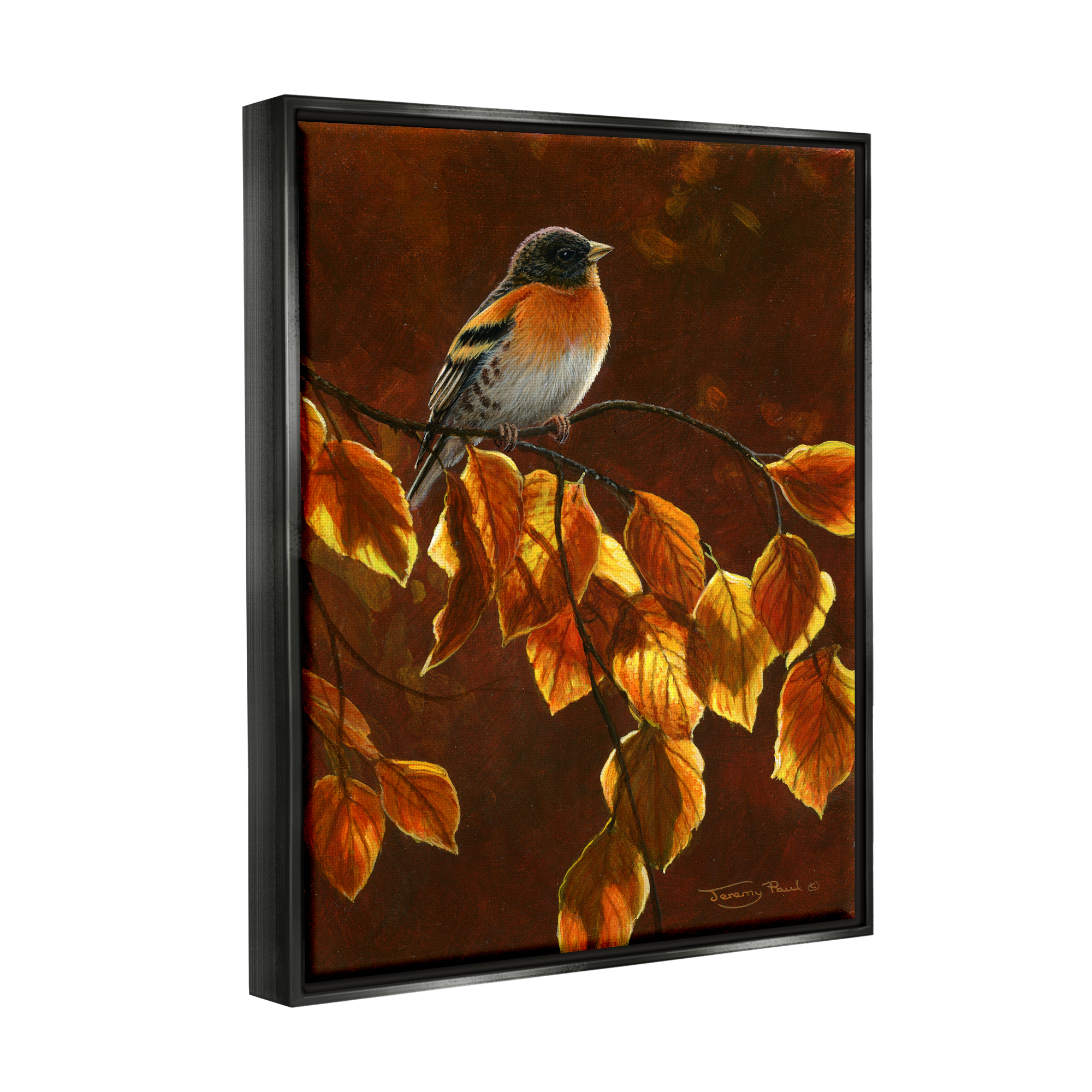 Stupell Industries Bird Brown Sunlit Foliage Animals & Insects Painting Black Floater Framed Art Print Wall Art