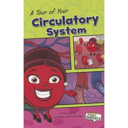 A Tour of Your Circulatory System (Best Foods For Circulatory System)