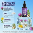 thumbnail image 3 of Clean Nutraceuticals Milk Thistle NAC Liver Cleanse Detox & Repair Supplement Liver Support Liquid Drops with Dandelion Extract, Artichoke, Chanca Piedra, Choline, L-Glutathione, Burdock, Schisandra, 3 of 8