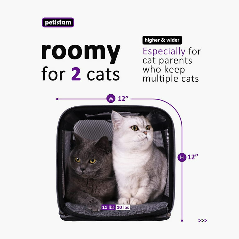 Pet Travel Carrier, Cat Carriers Dog Carrier for Small Medium Cats
