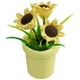 thumbnail image 1 of KAKOWELY Planta en maceta en miniatura Mini casa Girasol Mini casa Planta en maceta Mini casa Accesorio, 1 of 5