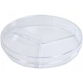 thumbnail image 4 of Petri Dish 100 X 15mm Pack of 20 With 3 Sections, 4 of 4