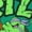 Heather Green, variant on Teenage Mutant Ninja Turtles T-Shirt Men's Mutant Mayhem Short Sleeve Tee
