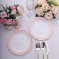 thumbnail image 4 of Balsa Circle 10 Round 7 in Blush Rose Gold Disposable Salad Plastic Plates Spiral Trim Party Tableware Decorations Supplies, 4 of 8