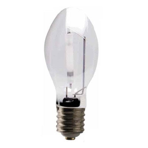 Mogul Light Bulbs