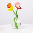 thumbnail image 3 of Clear Glass Flower Planter Vase Terrarium Container Micro Landscape Home Decor, 3 of 8