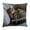 B, variant on A Animal Print Pillow Case For Home Decor Square Cushion Cover With Vivid Digital Printing And Concealed Zipper Closure