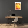 thumbnail image 4 of Angus Macaulay 15x18 White Modern Wood Framed Wall Art Titled - Apple, 4 of 5