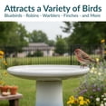 thumbnail image 4 of Sunnydaze Subtle Transitions Freestanding Ceramic Outdoor Bird Bath, UV-Resistant Twilight, 4 of 15