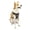 Black, variant on Kurgo Journey Air Dog Harness, Vest Harnesses for Dogs, Pet Hiking Harness for Running & Walking, Reflective, Padded, Includes Control Handle, No Pull Front Clip (Coral, Large)