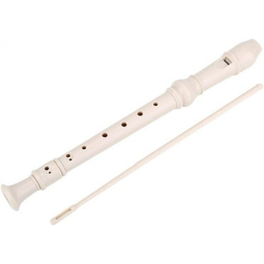 Recorder Instrument, 8 Holes High Pitch Soprano Recorder Detachable with a Cleaning Bar Plastic Recorder Flute ABS Musical Instruments for Kids and Adults Beginners(1#)